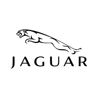 Jaguar Jaguar